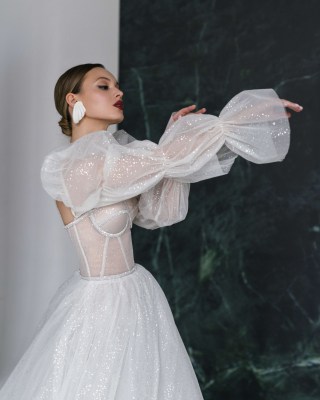 Shine with sleeves 